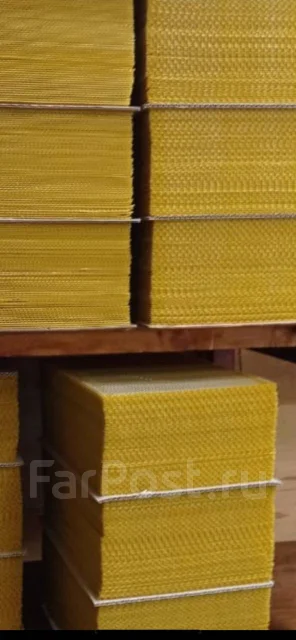 ����� �������� ���� ����