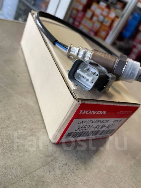 ������ ��������� Honda (�����) 36531-PLM-A01 ����