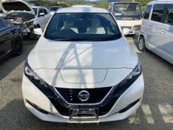 Nissan Leaf. ZE1, EM57 ����