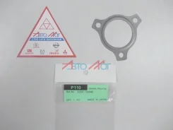 ���������� ��������� P110 P110 ����