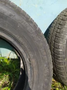 Dunlop SP 10. ������, �/�, ����� 35 % ����
