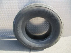 ���� Forza REG T