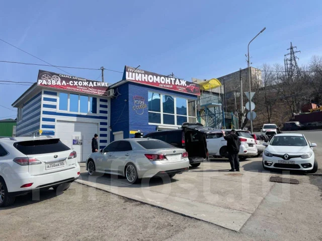 Triangle Effe X Sport TH202. ������, 2025 ���, ����� ����