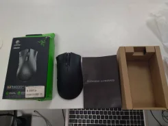 ���� �������. ����