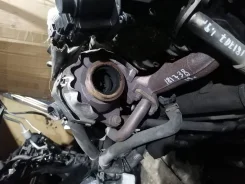 �������, ��������������� AUDI A3, Volkswagen Caddy, Touran 1,9 TDI BLS 2004- �/� VAG 03G253019J 03G253019J ����