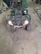 Yamaha Grizzly 125. ��������, �� ����