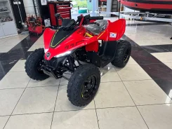 CFMoto CForce. ��������, ��� ���\���, ��� ������� ����