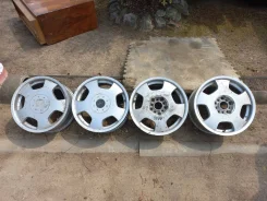 Lizea. 7.0x16" ����