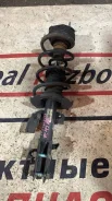 ������ �������� ����� Mazda Demio Dejfs /RealRazborNHD/ DR6134900C ����