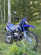 Racer Ranger RC300-GY8. 300����. ��., ��������, ���������, ������ �� �� ����
