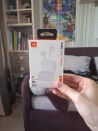 JBL Wave Flex ����