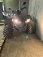 Cectek Kingcobra T6. ����������, ��, �� ����