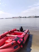 �����. 2023 ���, ����� 3,8��., ��������� ���������, 9,9��.�., ������ ����