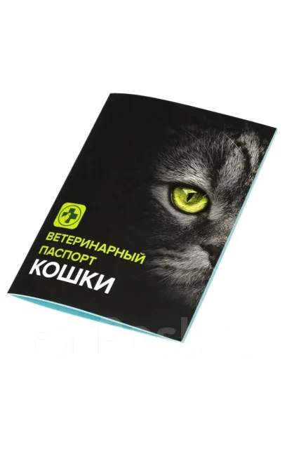 Ветеринарный паспорт кошки, в наличии. Цена: 300₽ во Владивостоке