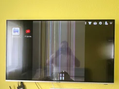 DNS ����