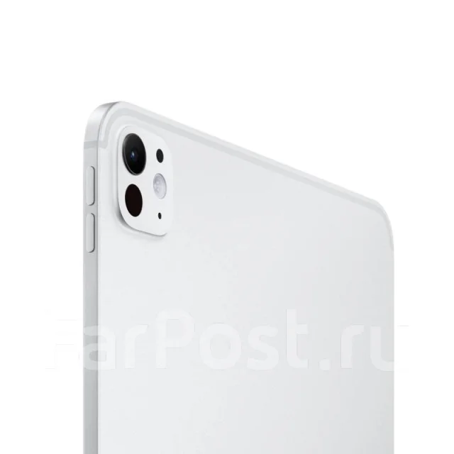 Apple iPad Pro 11. 11 ������, ������ 2 ��. ��� ����� �� ���������� ����