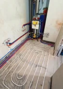 ������ ������ �����. ����