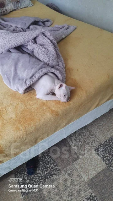 ������� ������. ����