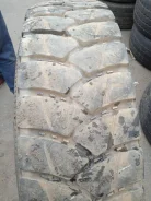 Triangle TR918. ����� mt, �/�, ����� 40 % ����