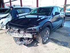 Mazda CX-30. DM8P, S8DPTS ����