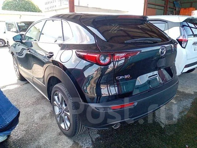 Mazda CX-30. DM8P, S8DPTS ����