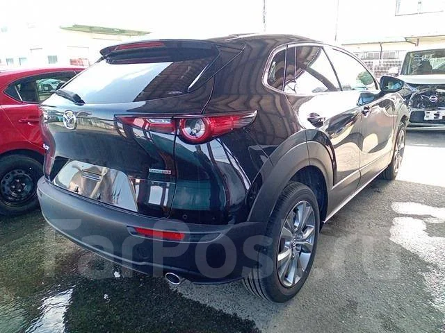 Mazda CX-30. DM8P, S8DPTS ����