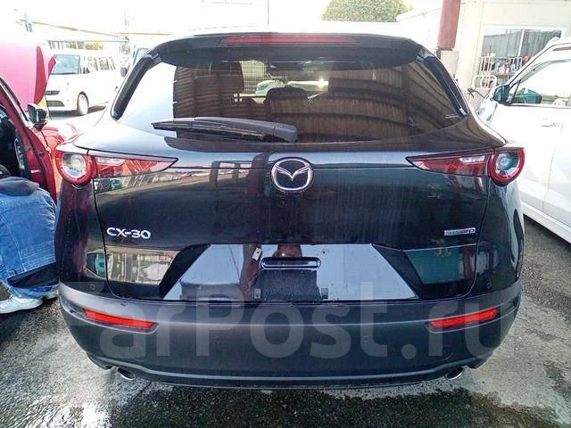 Mazda CX-30. DM8P, S8DPTS ����