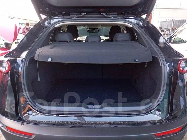Mazda CX-30. DM8P, S8DPTS ����