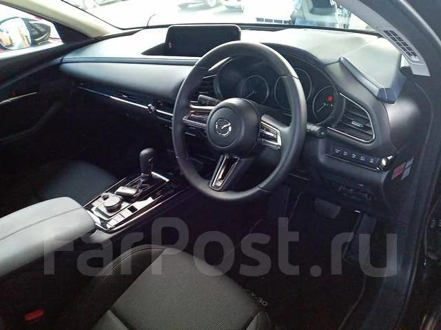 Mazda CX-30. DM8P, S8DPTS ����