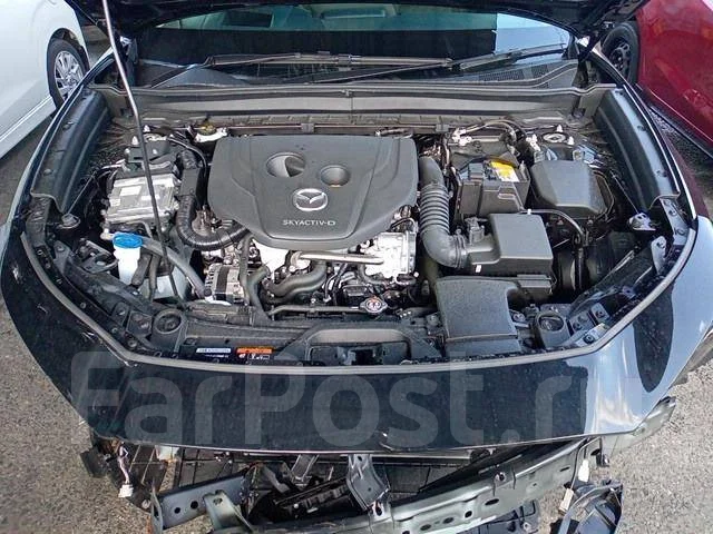 Mazda CX-30. DM8P, S8DPTS ����