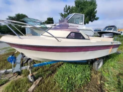 Yamaha Fish 15. 1989 ���, ����� 4,5��., ��������� ���������, 40��.�., ������ ����