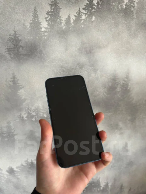 Apple iPhone 13. �/�, 256 ��, �����, 3G, 4G LTE, 5G ����