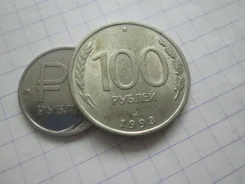 229� . �� . 100 ������ 1993 � . ��� . . ����