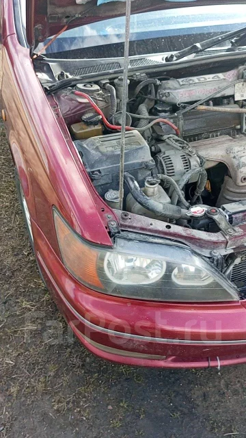 Toyota Vista Ardeo. �������, ��������, 2.0 (145��.�.), ������, 137 000����. �� ����