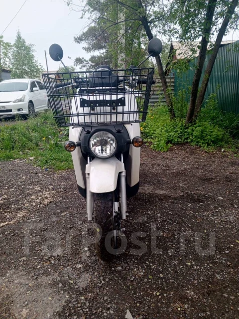 Honda Benly. 49����. ��., ��������, ��� ���, ��� ������� ����