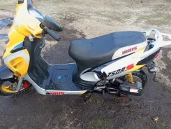 Irbis. 50����. ��., ��������, ��� ���, ������ �� �� ����