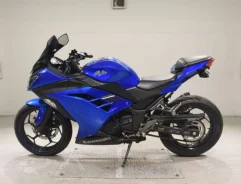 Kawasaki Ninja 250R. 250����. ��., ��������, ���������, ��� ������� ����