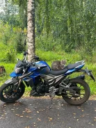 Regulmoto T-Leopard 300. 300����. ��. ����