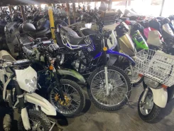 Regulmoto SK 200GY-5. 200����. ��., ��������, ���������, ��� ������� ����