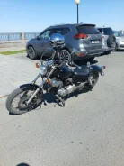 Yamaha Virago XV 250. 250����. ��., ����������, ���������, ��� ������� ����