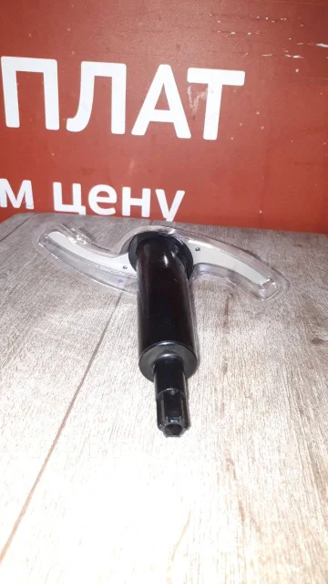 ���� ��������. ����