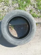 Toyo Proxes TR1 ����
