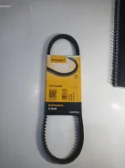 ������ 10X666 Contitech AVX10X666 AVX10X666 ����