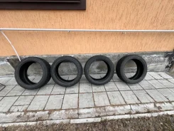 WinRun. ������, ����������, 2023 ���, ����� ����