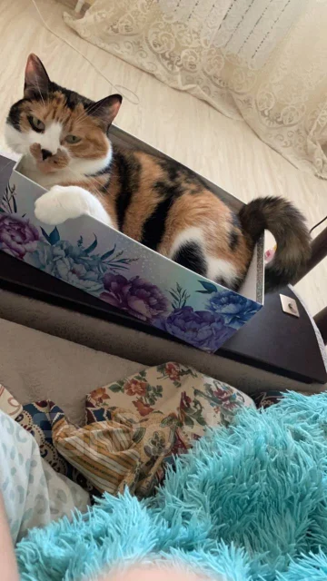 �����. ����
