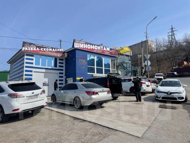 Triangle Effe X Sport TH202. ������, 2025 ���, ����� ����