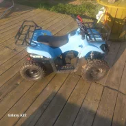 Tiger Mini. ��������, ��� ���\���, �� ����