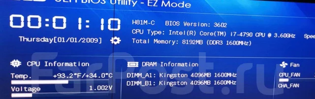 H81 ����