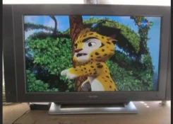 Philips. LCD (��) ����