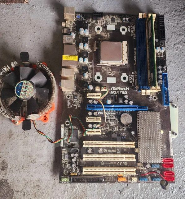 AMD ����